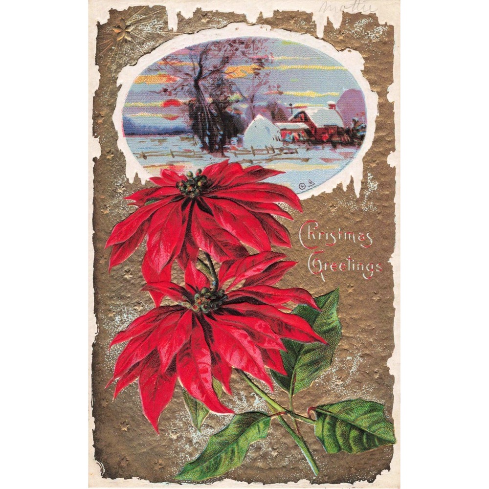 Vintage 1910 E Nash Christmas Postcard Red Poinsettia Winter Farm Scene No 30